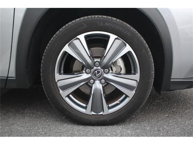 TOYOTA LEXUS UX300e 2023