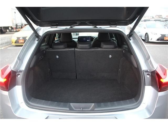 TOYOTA LEXUS UX300e 2023