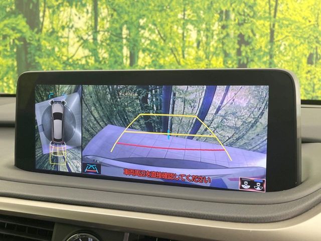 TOYOTA LEXUS RX450h AWD 2019