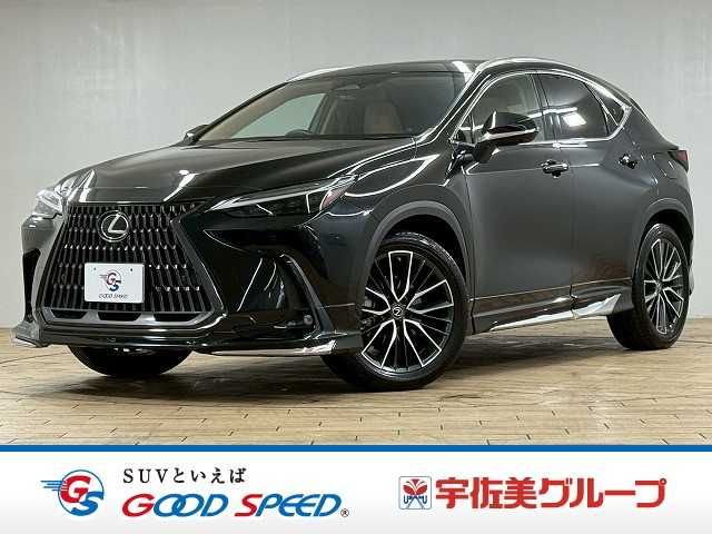TOYOTA LEXUS NX250 2022