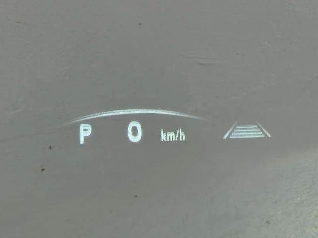 TOYOTA LEXUS NX250 2022