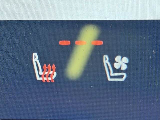 TOYOTA LEXUS NX250 2022