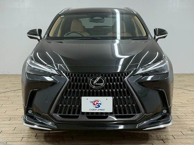 TOYOTA LEXUS NX250 2022