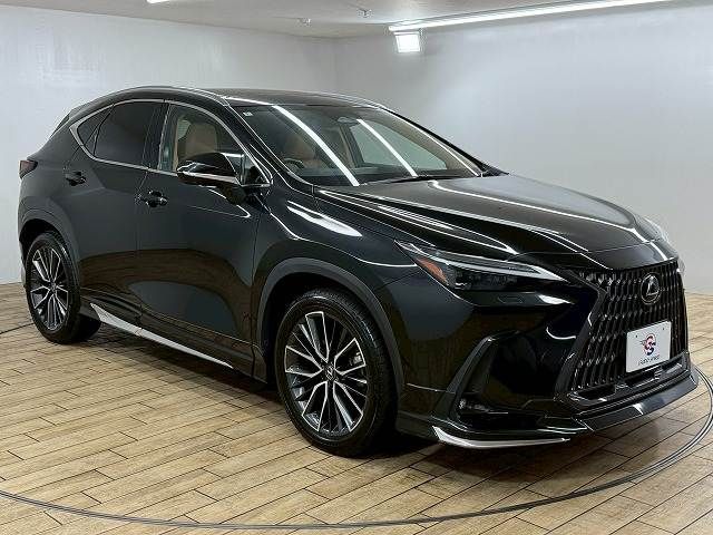 TOYOTA LEXUS NX250 2022