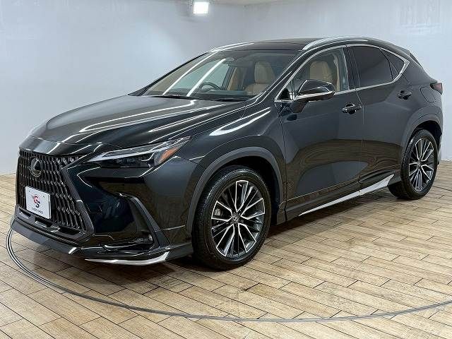 TOYOTA LEXUS NX250 2022