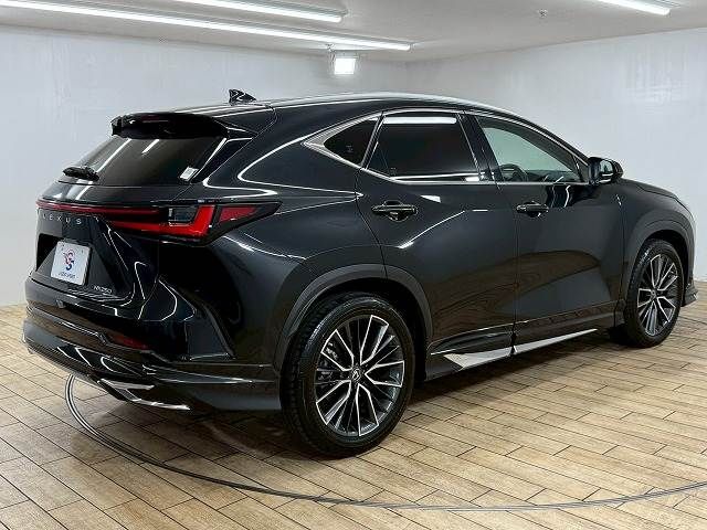 TOYOTA LEXUS NX250 2022