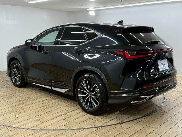TOYOTA LEXUS NX250 2022