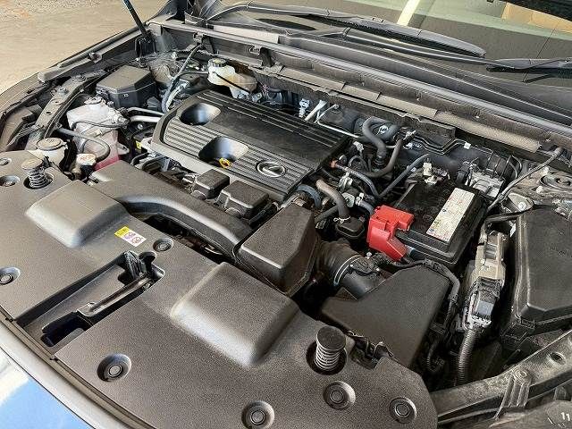 TOYOTA LEXUS NX250 2022