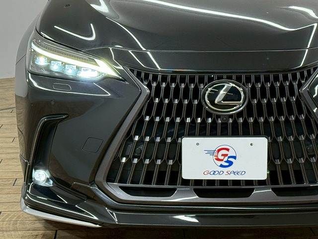 TOYOTA LEXUS NX250 2022