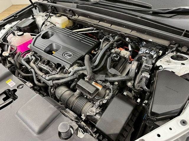 TOYOTA LEXUS NX350h 2023