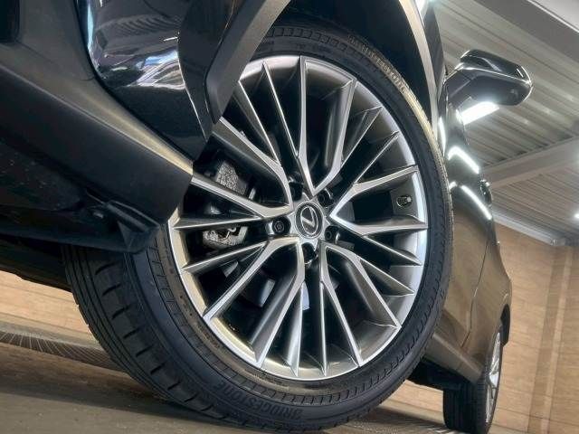 TOYOTA LEXUS NX350h 2022