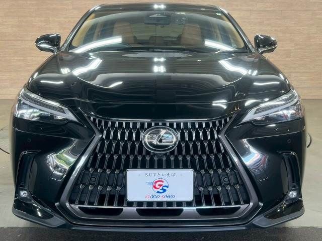 TOYOTA LEXUS NX350h 2022