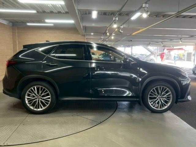 TOYOTA LEXUS NX350h 2022