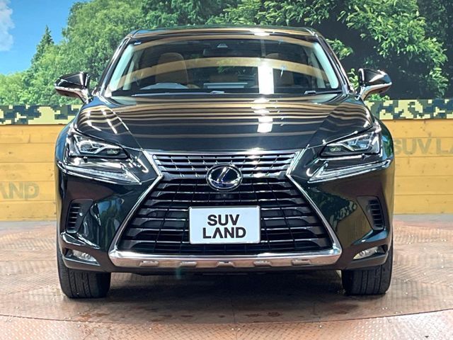 TOYOTA LEXUS NX300h 2017
