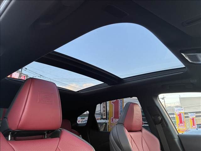 TOYOTA LEXUS RX500h 2023