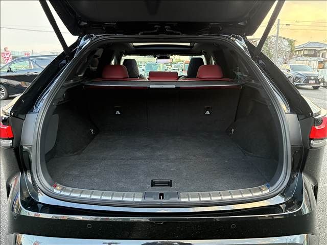 TOYOTA LEXUS RX500h 2023