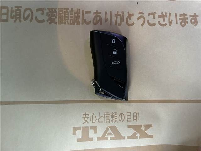 TOYOTA LEXUS RX500h 2023