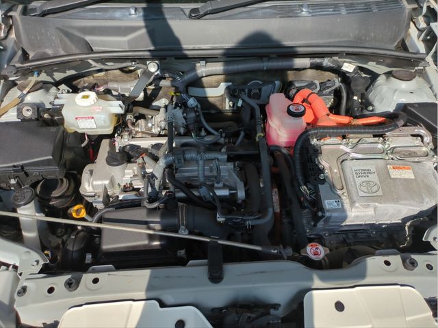 TOYOTA PROBOX van 2WD 2019