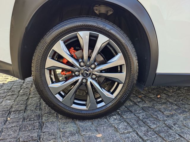 TOYOTA LEXUS UX250h 2023