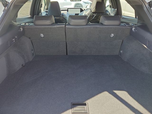 TOYOTA LEXUS UX250h 2023