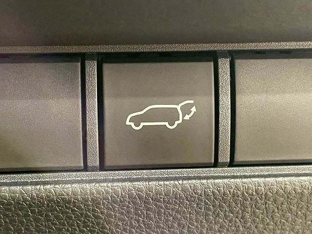 TOYOTA LANDCRUISER 250 2024