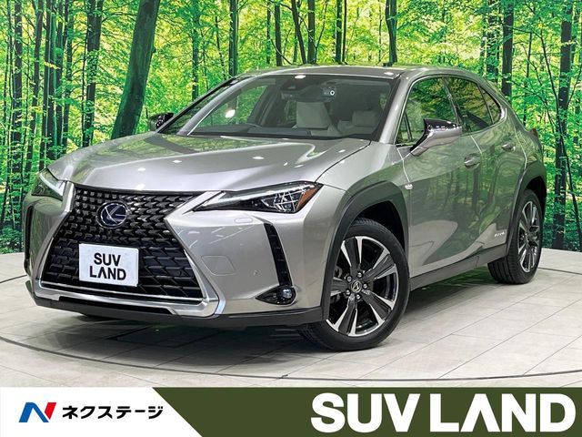 TOYOTA LEXUS UX250h AWD 2019