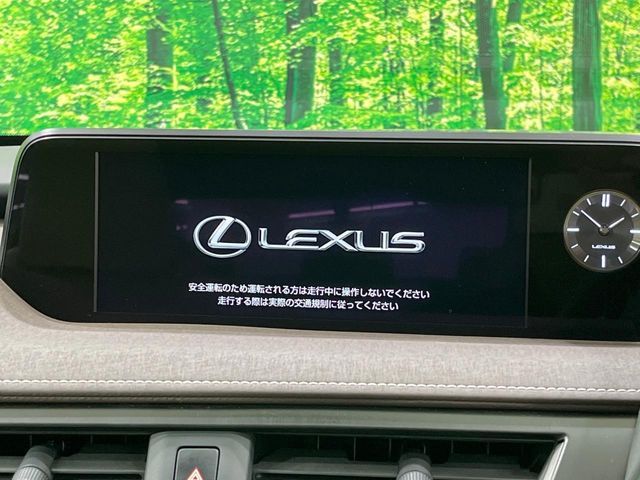 TOYOTA LEXUS UX250h AWD 2019