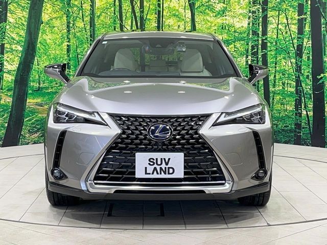 TOYOTA LEXUS UX250h AWD 2019
