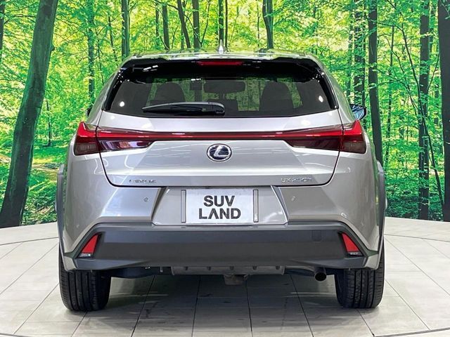 TOYOTA LEXUS UX250h AWD 2019