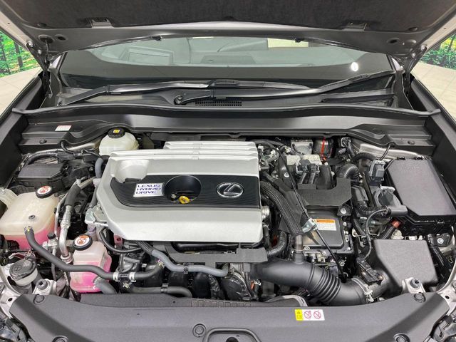 TOYOTA LEXUS UX250h AWD 2019