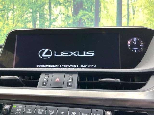 TOYOTA LEXUS ES300h 2019
