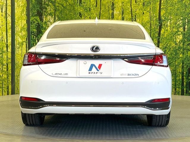 TOYOTA LEXUS ES300h 2019