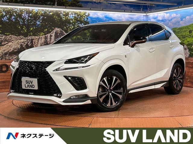 TOYOTA LEXUS NX300 2019