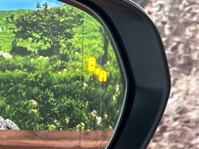 TOYOTA LEXUS NX300 2019