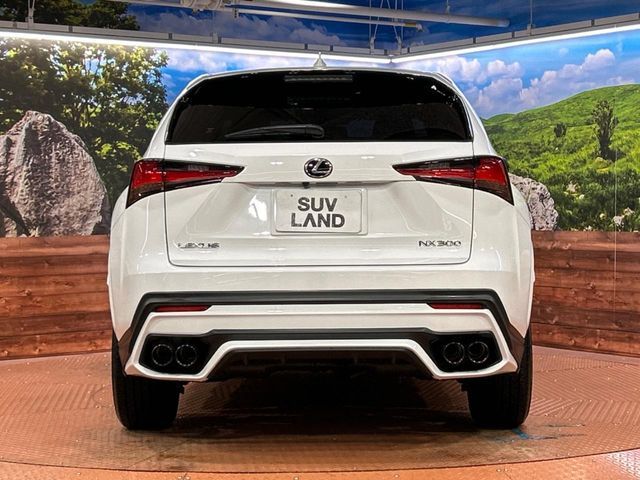 TOYOTA LEXUS NX300 2019