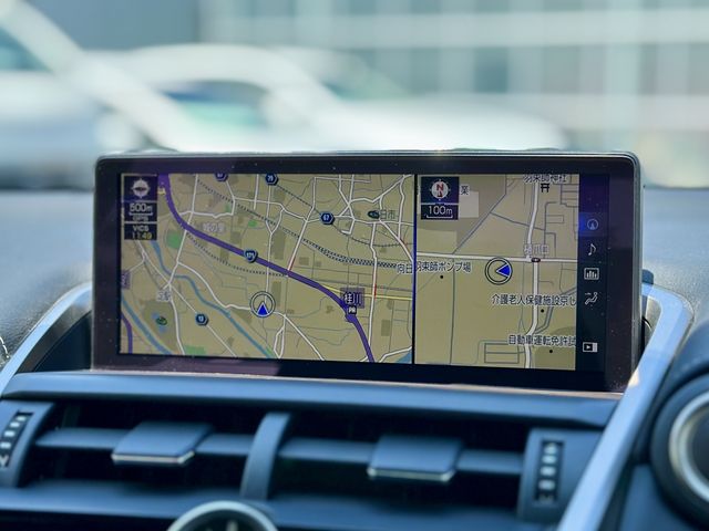 TOYOTA LEXUS NX300 2019