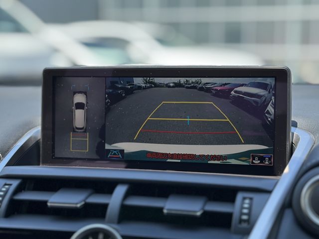 TOYOTA LEXUS NX300 2019