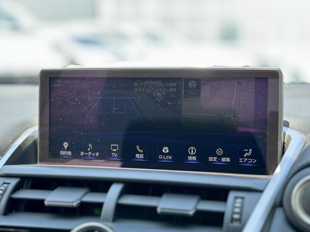 TOYOTA LEXUS NX300 2019