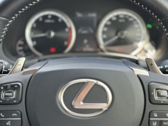 TOYOTA LEXUS NX300 2019