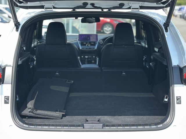 TOYOTA LEXUS NX300 2019