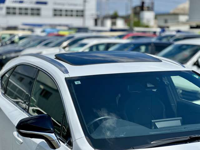 TOYOTA LEXUS NX300 2019