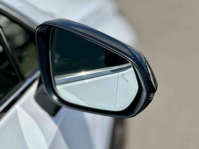 TOYOTA LEXUS NX300 2019