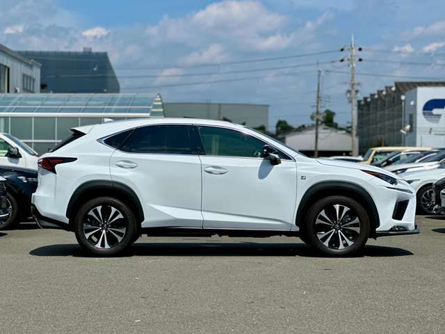 TOYOTA LEXUS NX300 2019