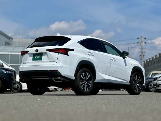 TOYOTA LEXUS NX300 2019