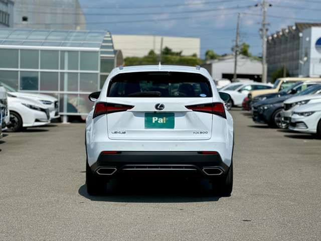 TOYOTA LEXUS NX300 2019