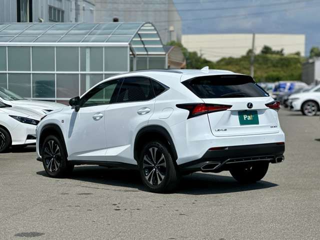 TOYOTA LEXUS NX300 2019