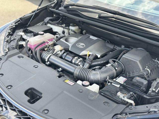 TOYOTA LEXUS NX300 2019