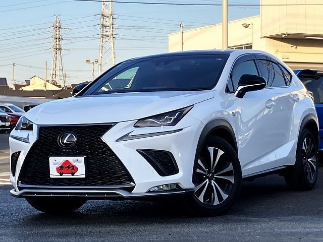 TOYOTA LEXUS NX300 2018