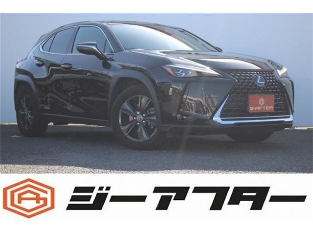 TOYOTA LEXUS UX250h 2020