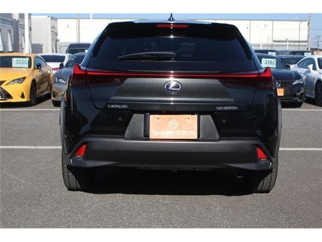 TOYOTA LEXUS UX250h 2020